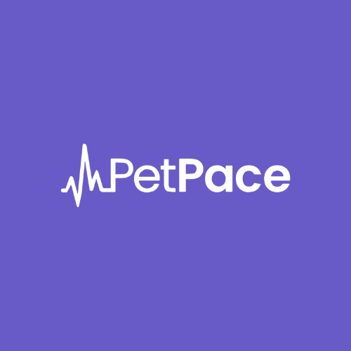 Winners Spotlight: PetPace