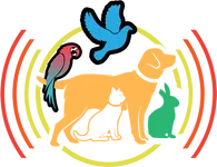 Winners Spotlight: Tails, Beaks and Feets